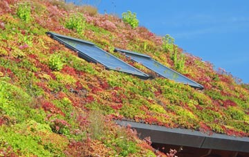 Warren Row living roof systems